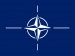ПА НАТО приняло резолюцию о расширении помощи странам-партнерам, в частности Украине – нардеп Фриз (
