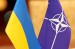 Украина получила доступ к логистической базе данных НАТО (